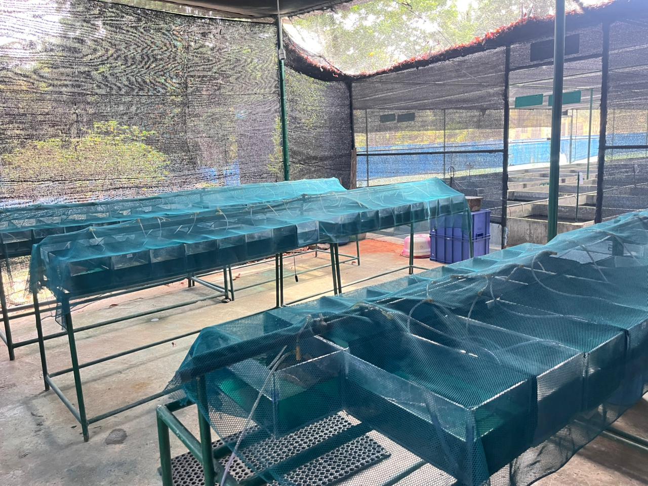 Breeding Facility