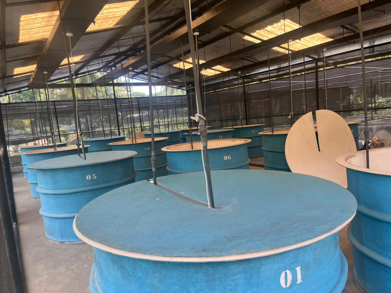 Quarantine Area
