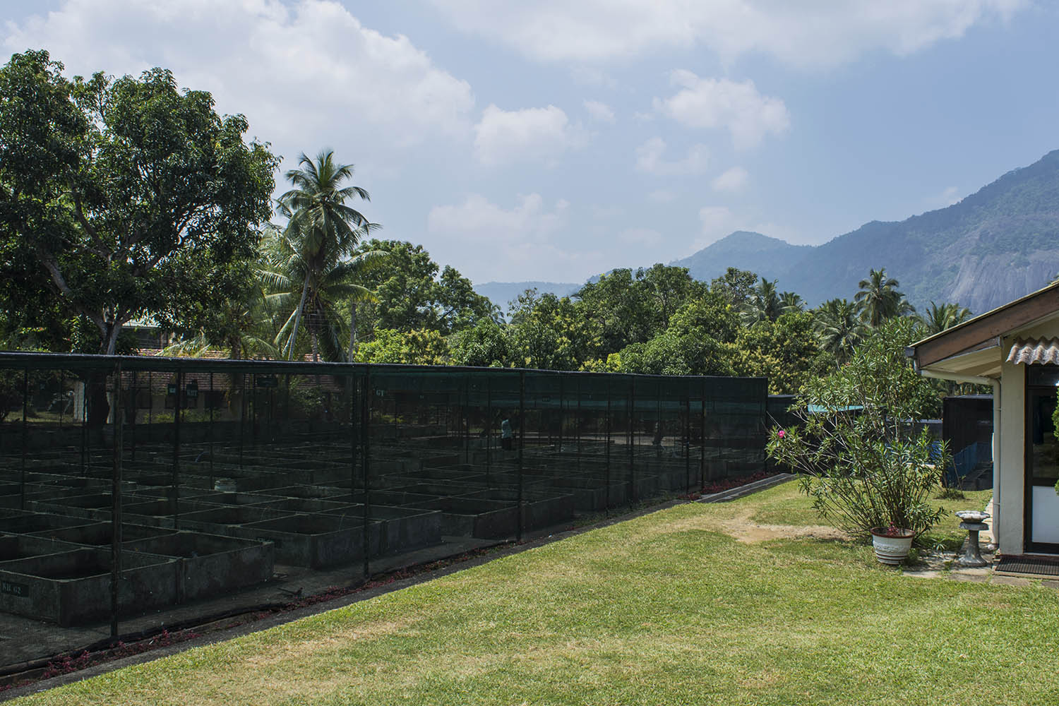 Rambodagalla Center