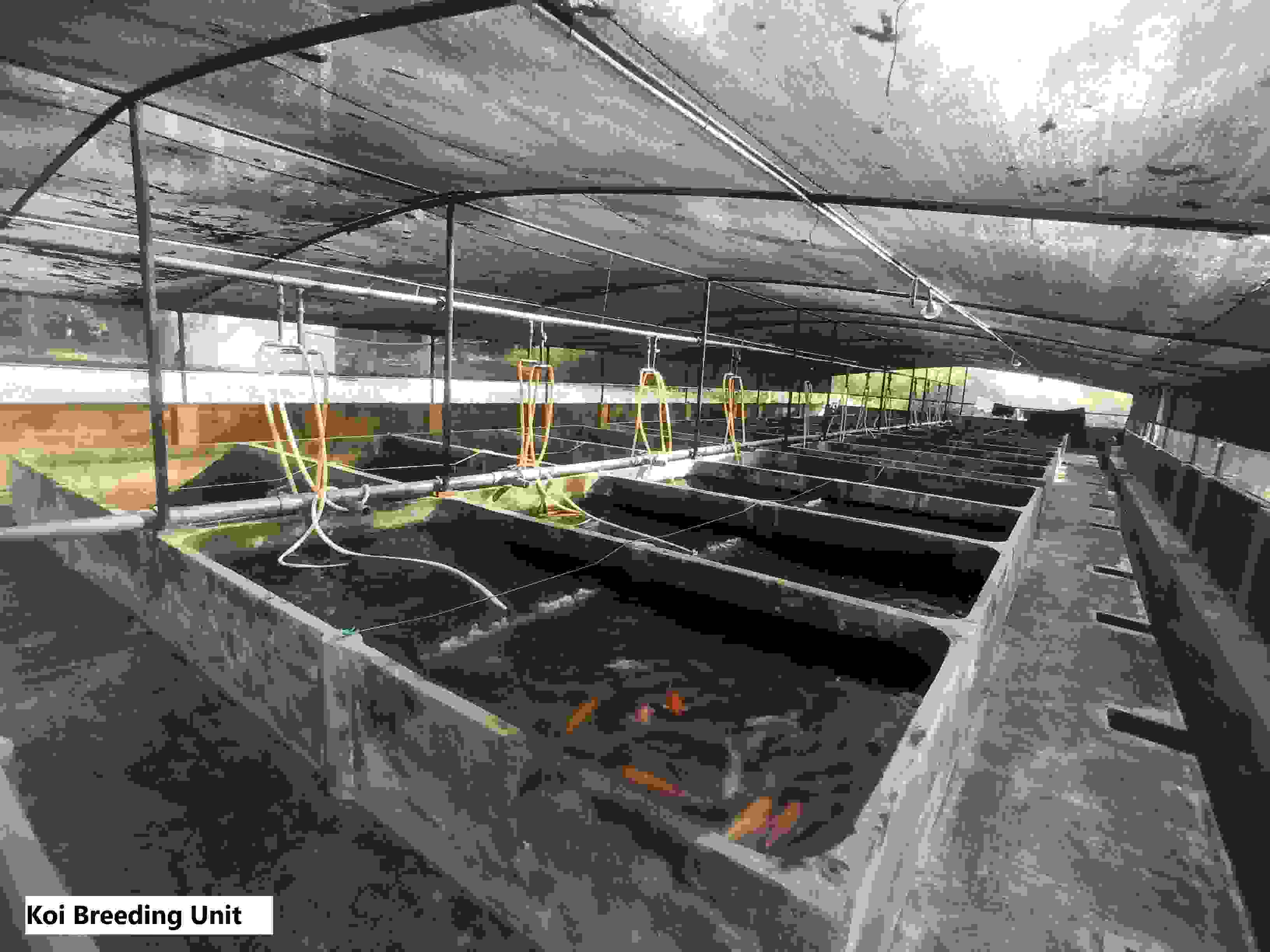Breeding Facility