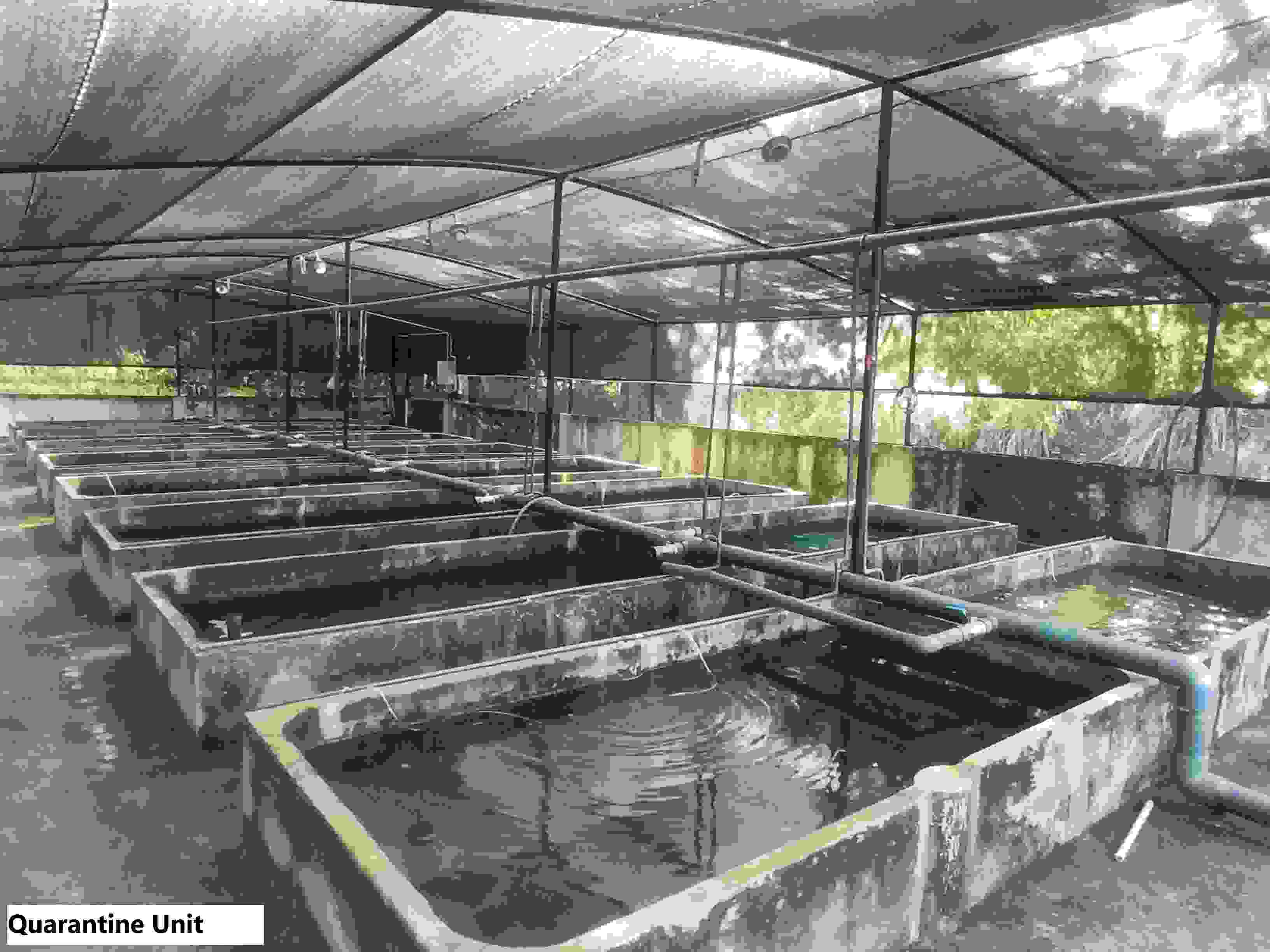 Quarantine Area